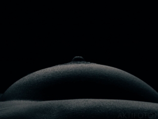 detailid aktifotol