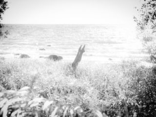 aktifoto-rannas-jalad-kunstiline jalad õhus põõsas