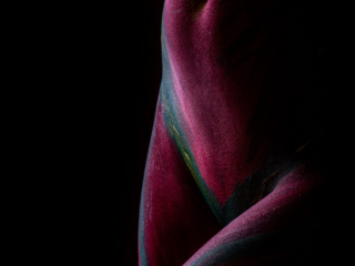 kehale-maalimine värvitud keha ehk kehamaaling