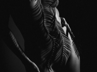 kunstilised aktifotod 001 varjud kehal ja kujundid palmi lehel kujuline vari