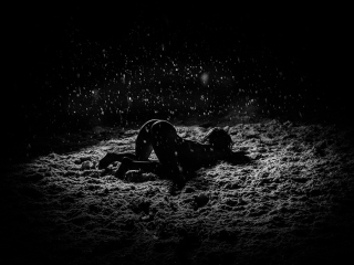 Aktifotod 001 Aktifoto looduses talvel lumesajus