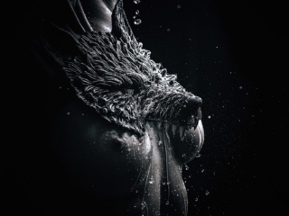 hunt - akt hunt - akt